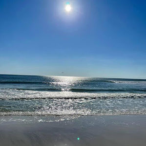 Meet your Posher, Adele